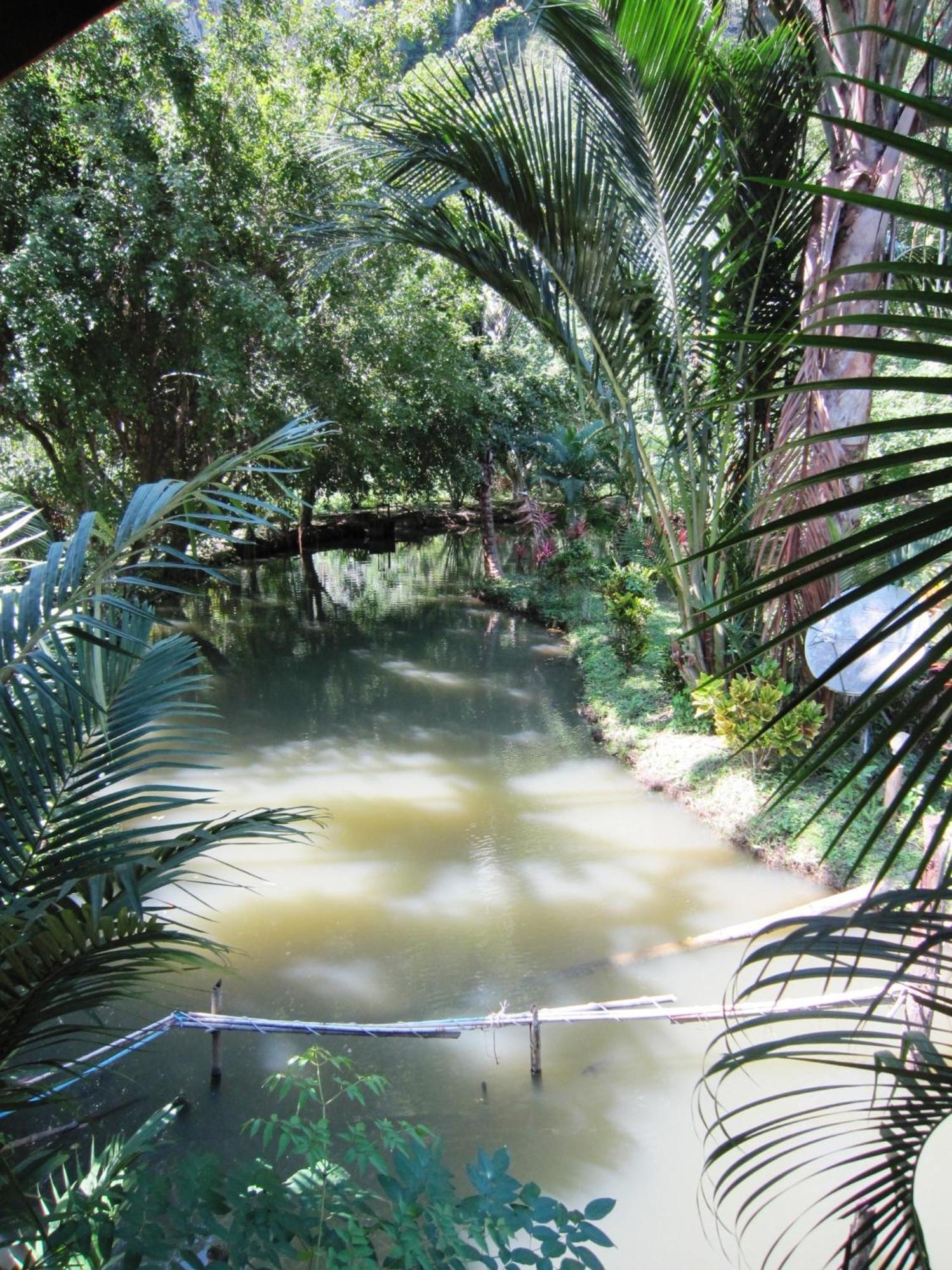 Phanom Bencha Mountain Resort Krabi By Eksteriør billede