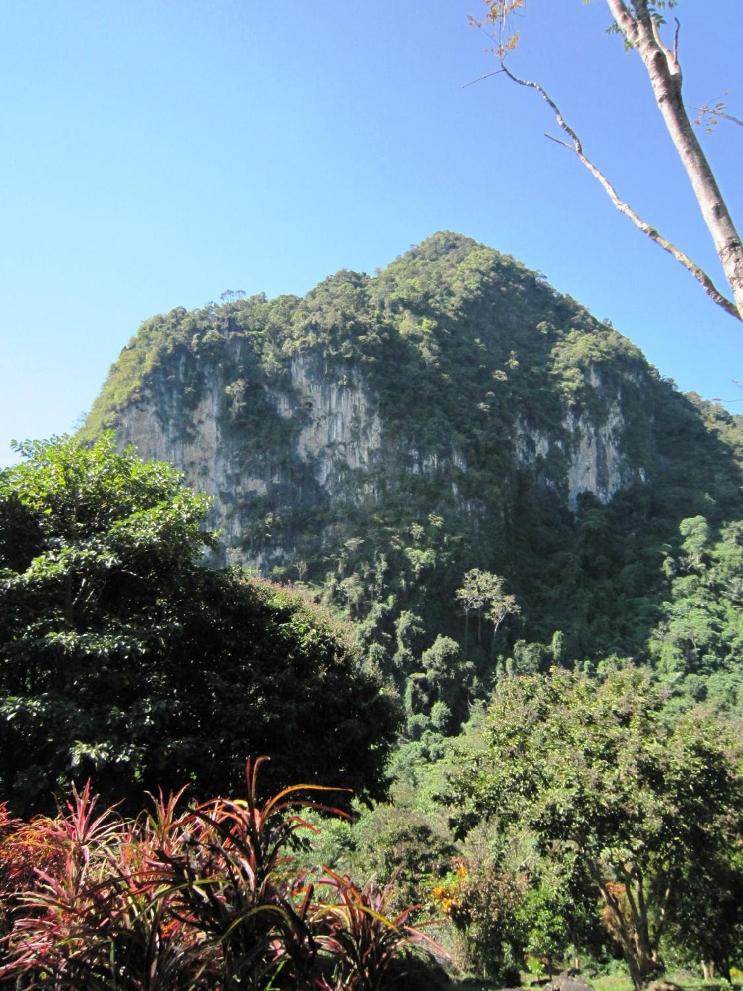 Phanom Bencha Mountain Resort Krabi By Eksteriør billede