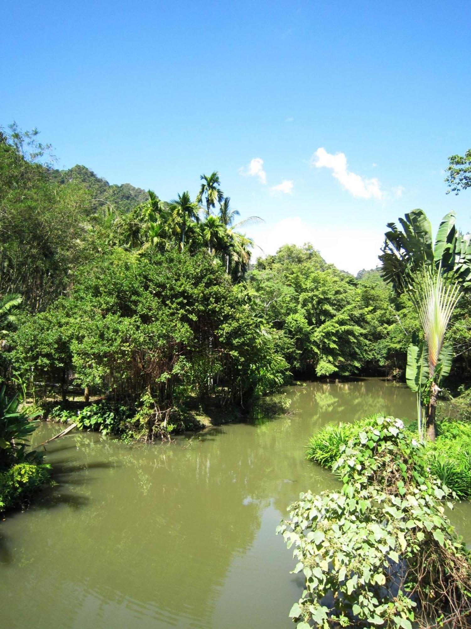 Phanom Bencha Mountain Resort Krabi By Eksteriør billede